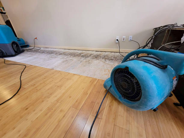 Professional Structural Drying technician working in Springfield, MO
